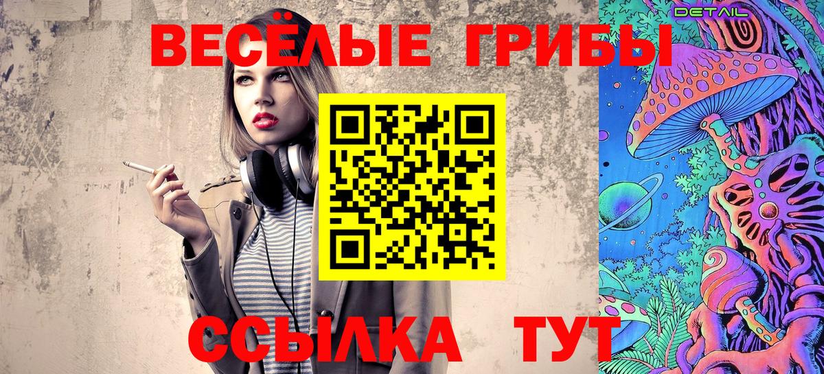 Моздок  Псилоцибиновые грибы ЛСД  Вход с VPN 