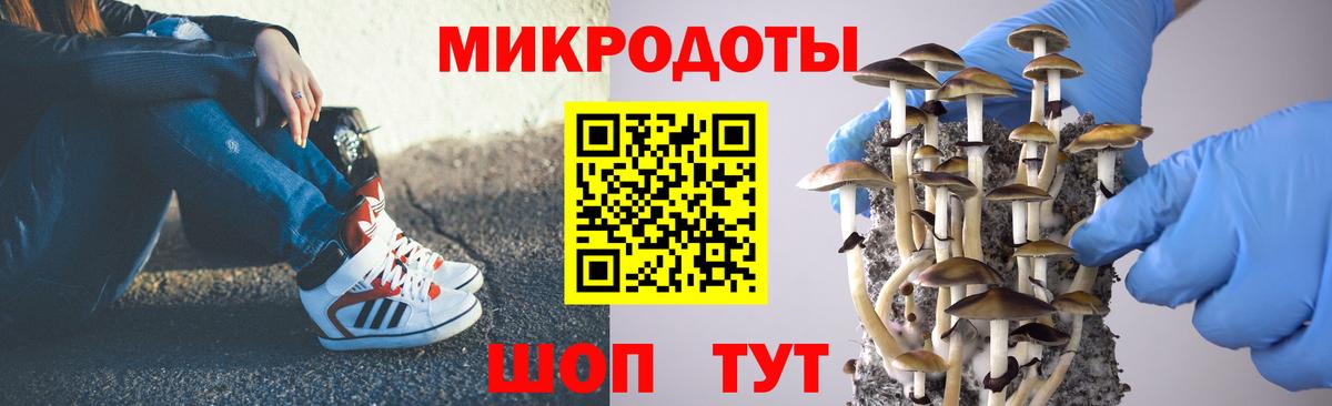 Псилоцибиновые грибы мухоморы Моздок